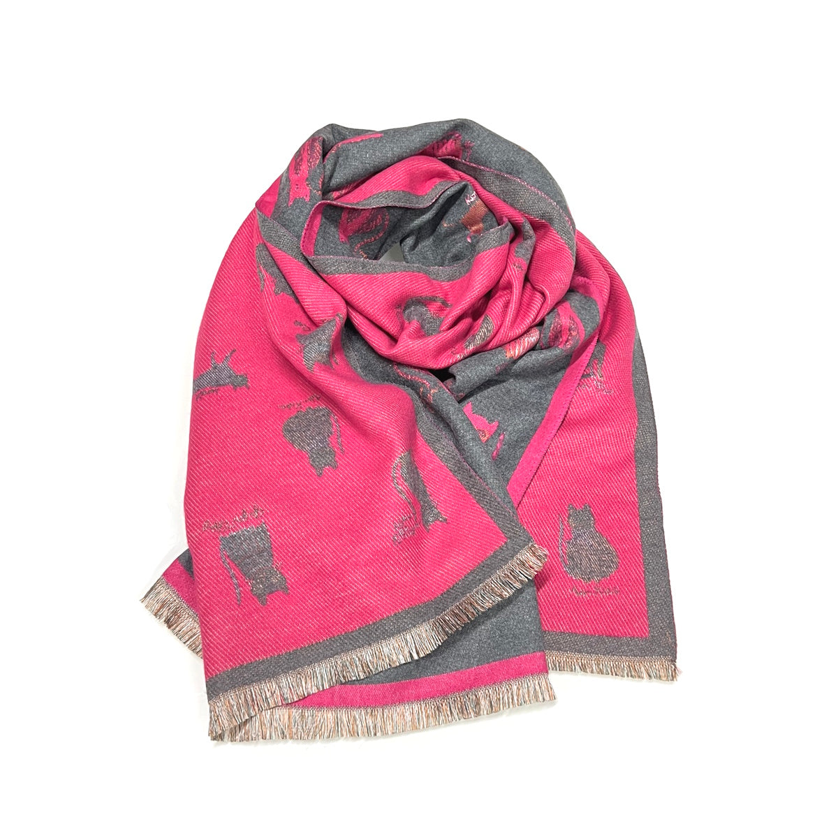 Cashmere Touch Double Face Scarf with Gift Bag – Coveri Collection Winter Fashion Accessory, 253006