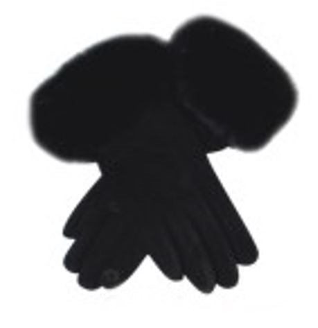 Guanti da donna, confezione regalo, Coveri Collection, art. 248003